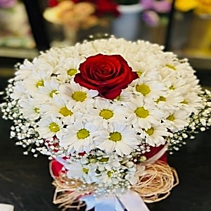 Gaziantep Blumenbestellung - Die Gänseblümchen & Gerbera 