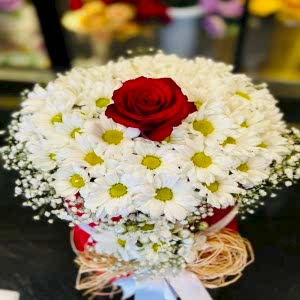  Gaziantep Çiçek Gönder - Papatya & Gerbera