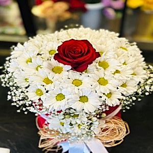  флорист в Газиантепе - Ромашки & герберы