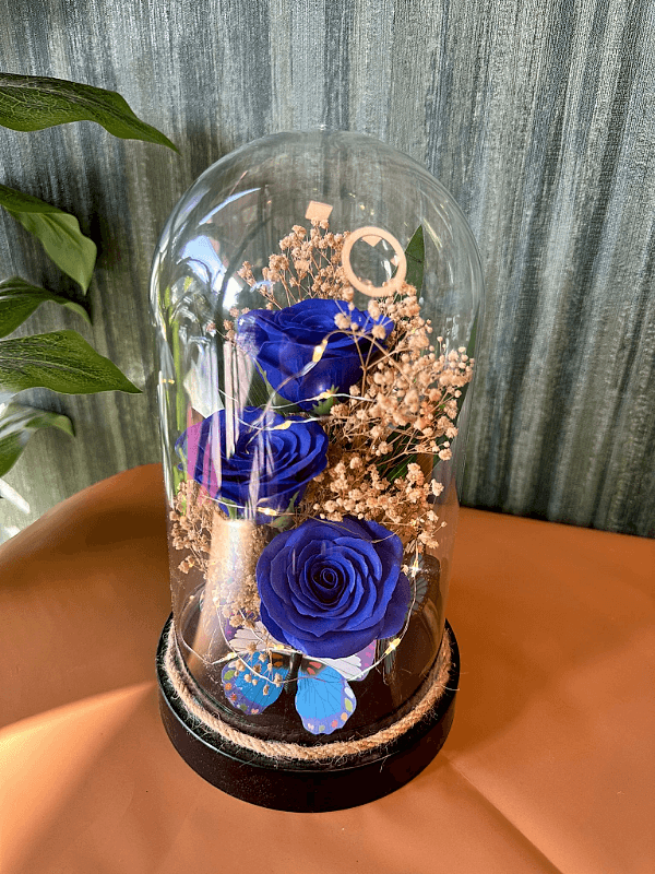  Gaziantep Çiçek Gönder - Fanusta  3 Lü Solmaz Mavi Gül 