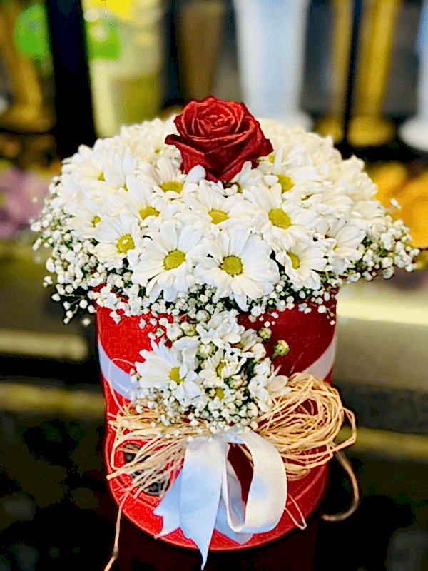  Gaziantep Çiçekçiler - Kutuda Beyaz Papatya Tek Gül