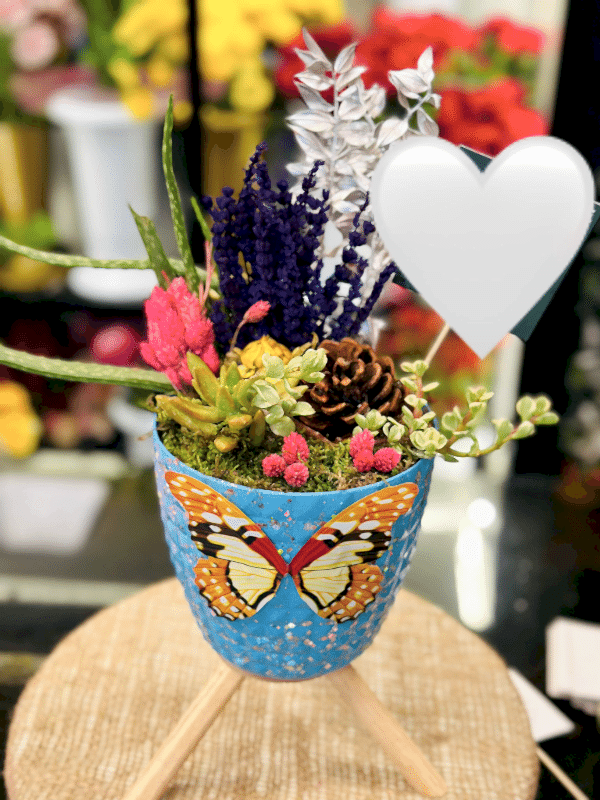 Gaziantep Çiçek Siparişi - Canlı Sukulent Arajmanı