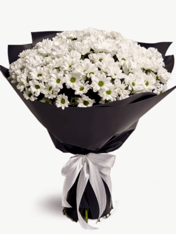  Gaziantep Çiçekçiler - Dev Beyaz Papatya Buketi