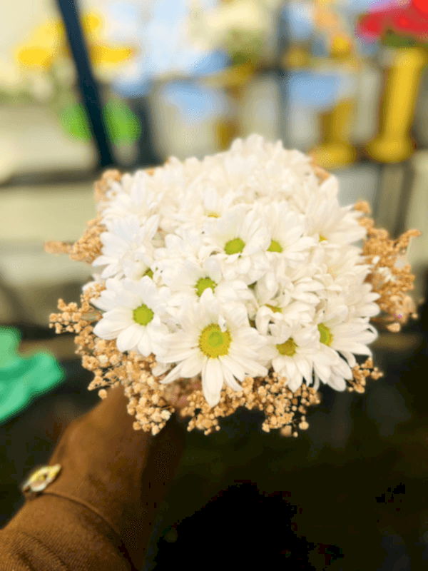  Gaziantep Çiçekçi - Beyaz Papatya Demeti 