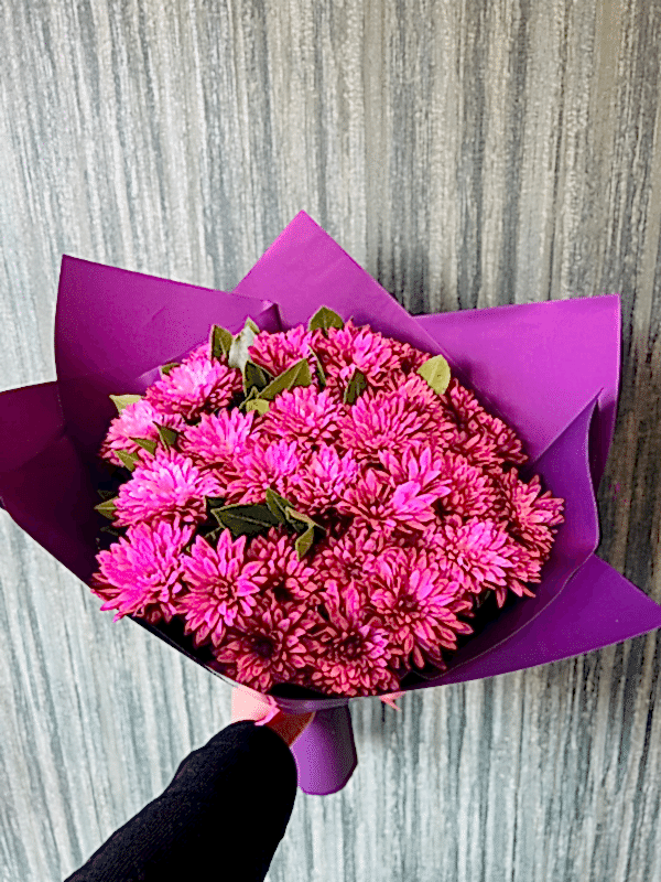  Gaziantep Çiçekçi - Mor Severlere Özel Kasımpatı