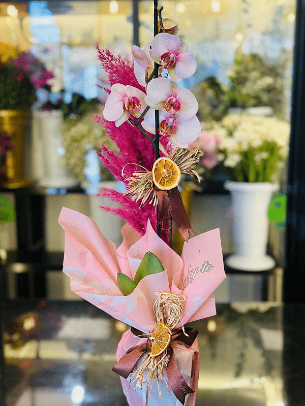  Gaziantep Çiçekler - Tek Dal Toz Pembe İthal Canlı Orkide