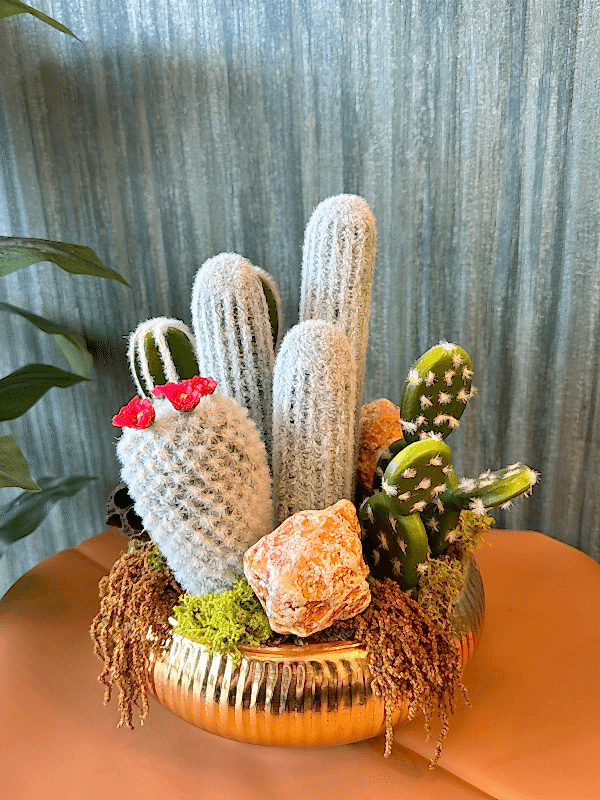  Gaziantep Floristen - UFO-GOLDTOPF IMPORTIERT CACDUS ARAYMANI