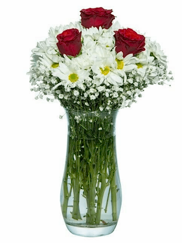 Gaziantep Çiçek Siparişi - Vazoda Gül Papatya 
