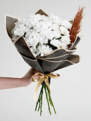  Gaziantep Çiçekçi - Canlı Papatya Buketi