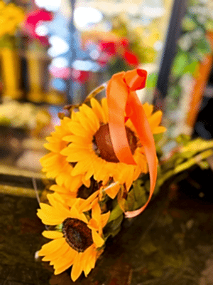  Gaziantep Çiçekçi - Canlı Papatya Buketi