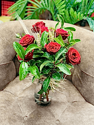  Gaziantep Çiçek Gönder - Vazoda 7 li Kırmızı Gül