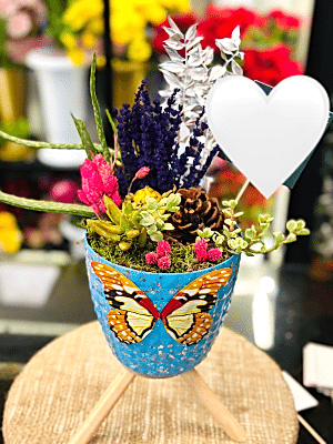 Gaziantep Çiçek Siparişi - Canlı Sukulent Arajmanı