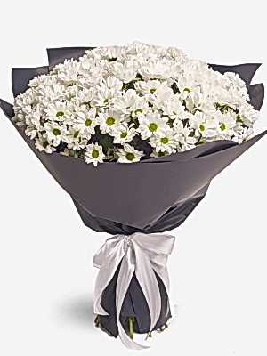  Gaziantep Çiçekçiler - Dev Beyaz Papatya Buketi