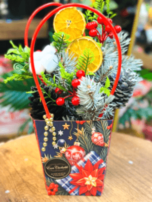  Gaziantep Çiçekler - Kutuda Yeni Yıl Çiçeği Kokina