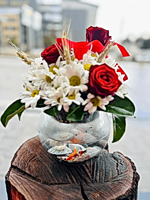  Gaziantep Çiçekçi - Canlı Balıklı Sevgili Fanusu