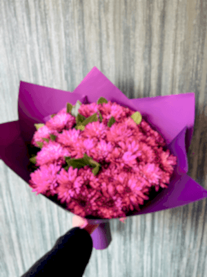  Gaziantep Çiçekçi - Mor Severlere Özel Kasımpatı