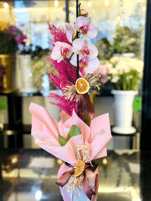  Gaziantep Çiçekler - Tek Dal Toz Pembe İthal Canlı Orkide